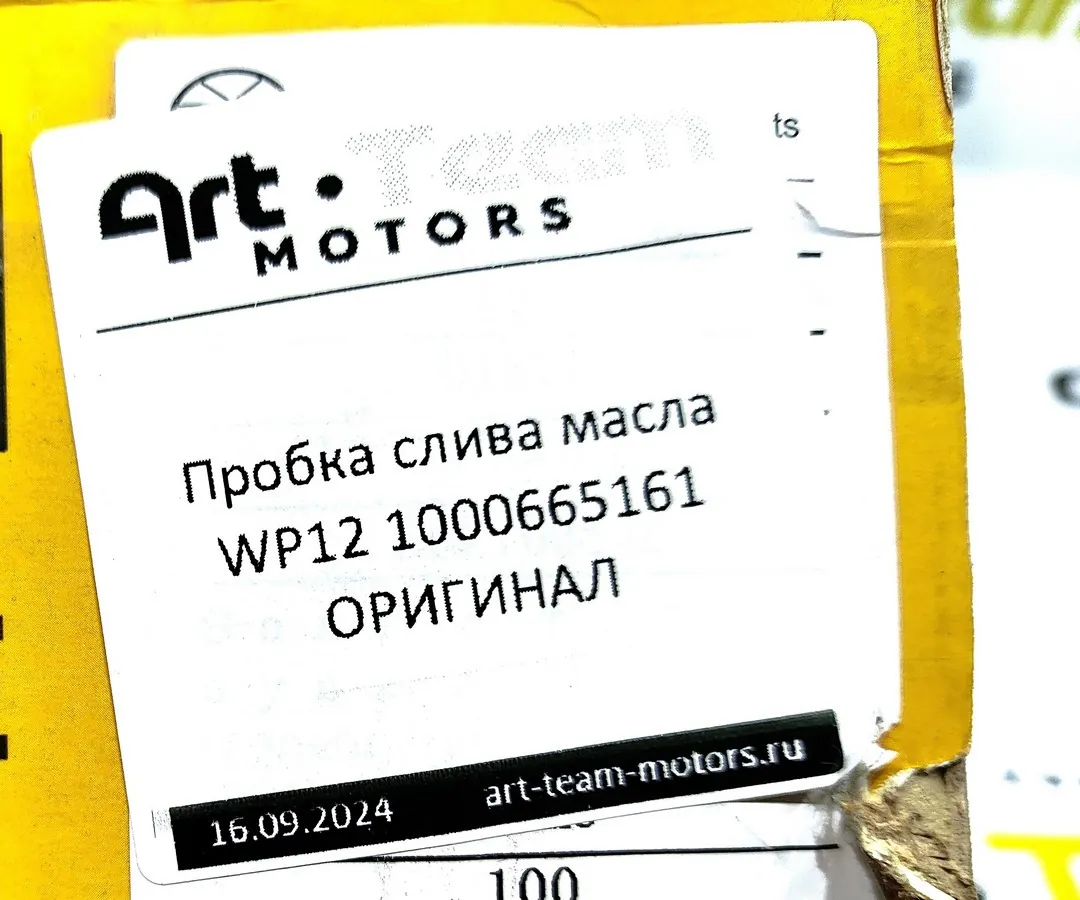 1000665161 - Пробка слива масла WP12 ОРИГИНАЛ